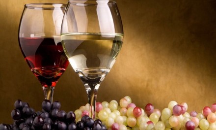 「酒酒」好釀暖人心－從釀造葡萄酒探討發酵變化