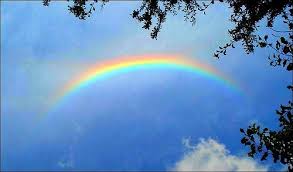 2016.01.05 為什麼彩虹不會在中午出現？談彩虹形成的原因
